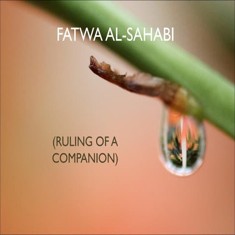 Fatwa sahabi