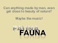 Fauna