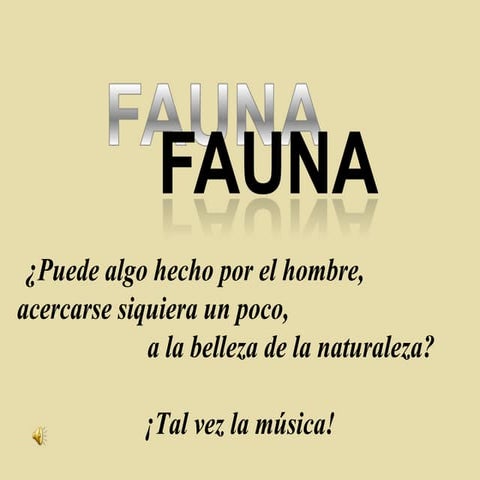 Fauna
