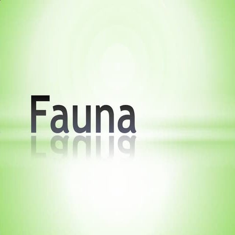 Fauna