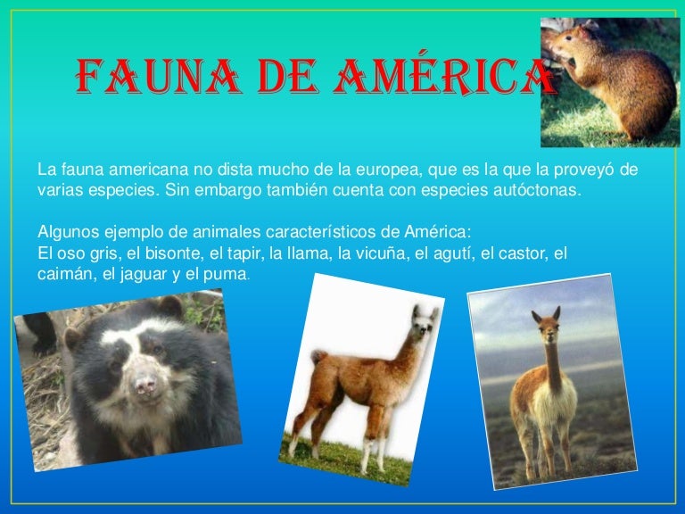 fauna de america