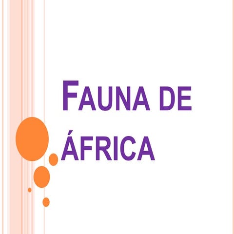 Fauna de áfrica