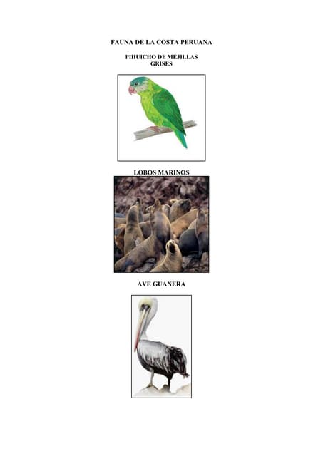 Fauna de la costa peruana