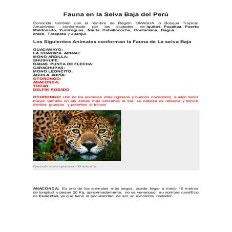 FAUNA de la Selva Peruana.docx