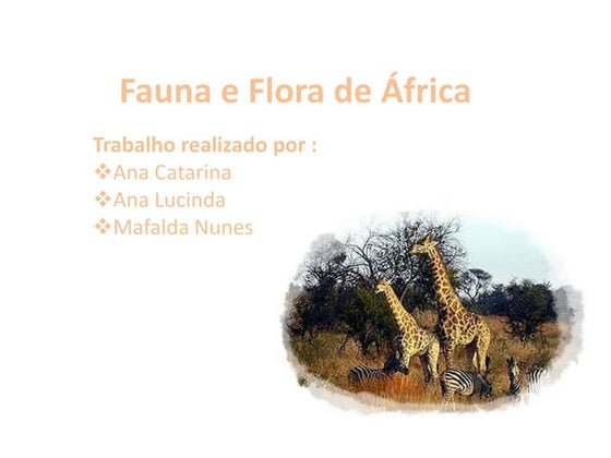 Projeto meio ambiente fauna e flora | PPT