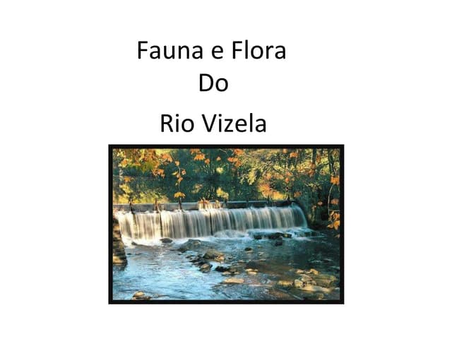 Fauna e flora