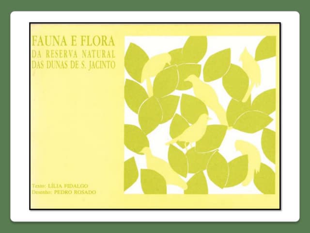 Fauna e flora - Dunas de S. Jacinto...