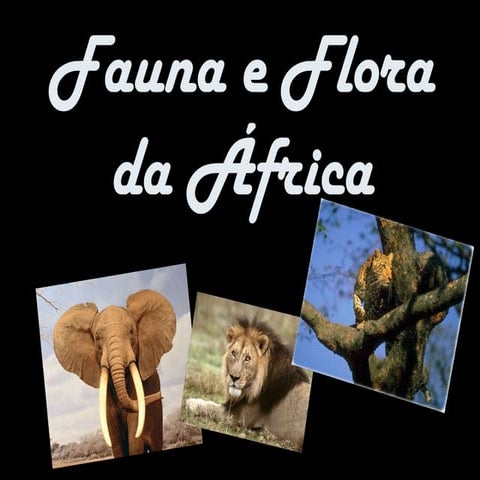 Fauna e flora da áfrica