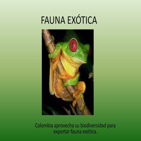 Fauna silvestre | PPTX