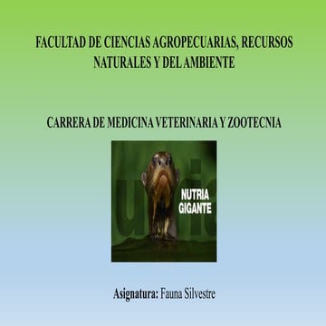 Fauna Silvestre; Nutria Gigante | PPTX