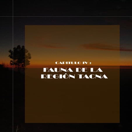 Fauna tacna 2