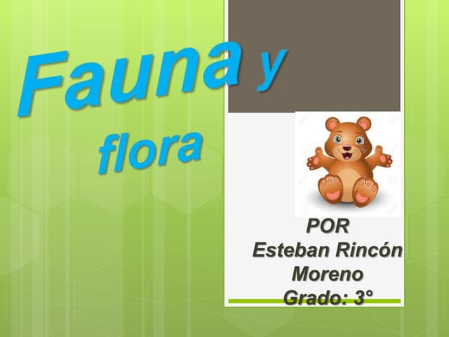 Fauna y flora