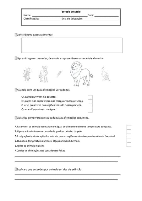 Ficha de avaliação de estudo do mei...