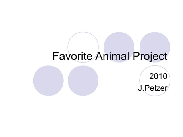 Favorite Animal Project: Complete Success