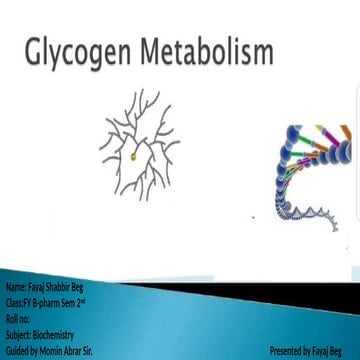 Glycogen Metabolism,Chemistry,disease,storage site.