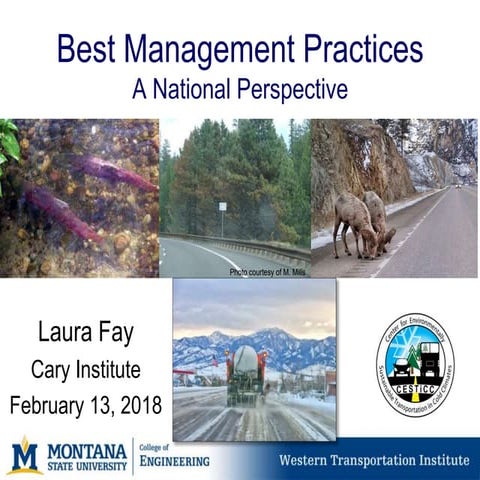 Road Salt Best Management Practices: A National View