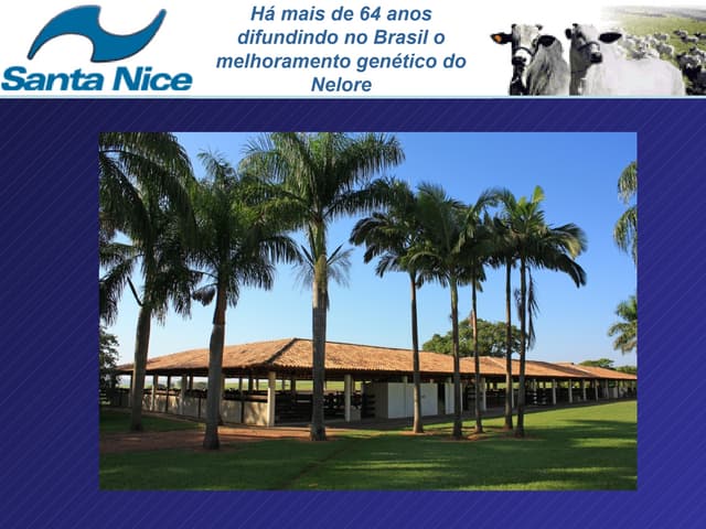 Fazenda santa nice   apresentação oficial