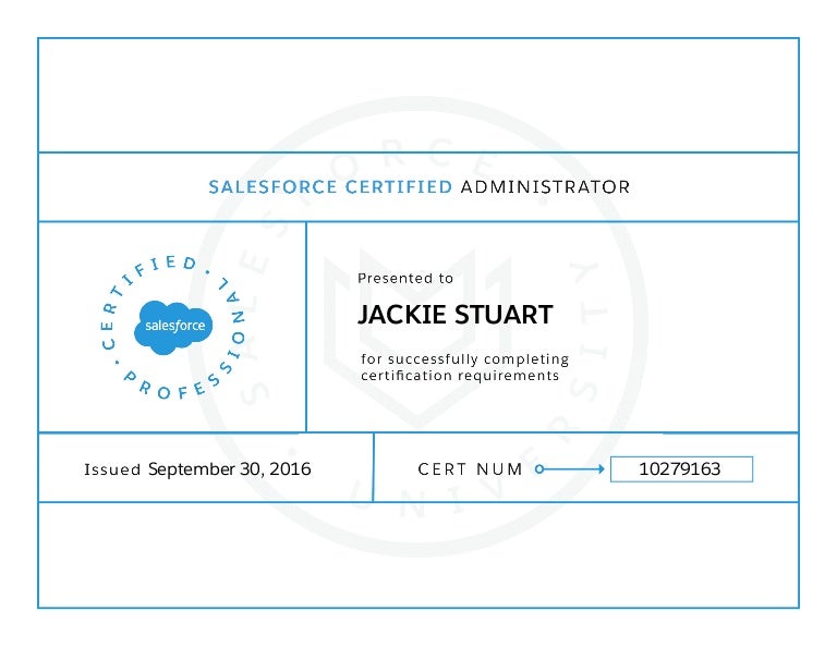 Salesforce-Loyalty-Management Lernhilfe | Maxtic