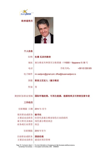 CVDusanVasiljevicCHI 简历
