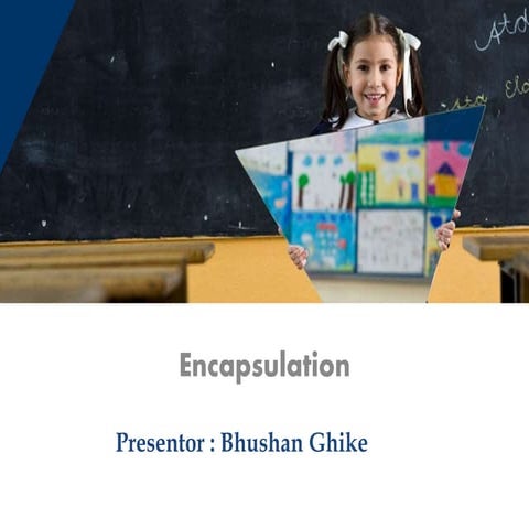 Encapsulation_ Problem and Remedies