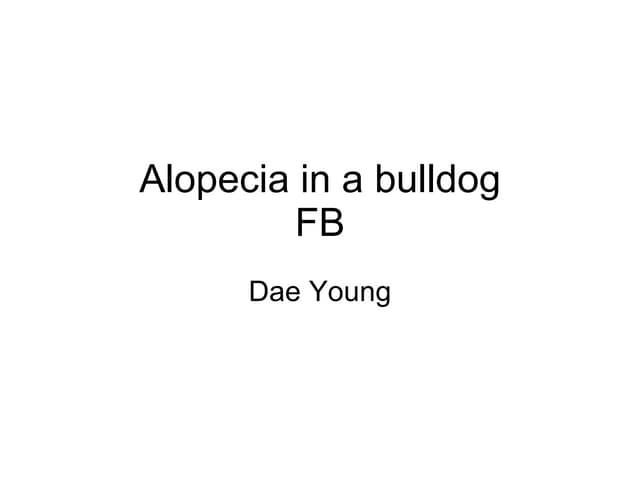 Fb alopecia in a bulldog