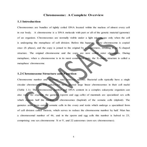 Chromosome: A Complete Overview