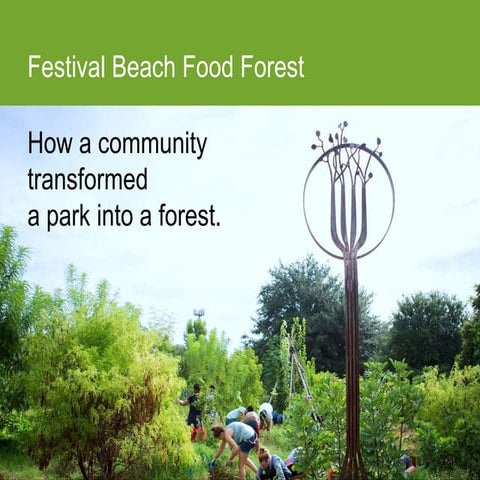 Fbff Presentation Derived From Tcc Pptx