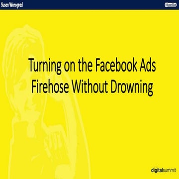 Susan Wenograd - Facebook Ads: Mastering the Power of the Demographic Fire Hose