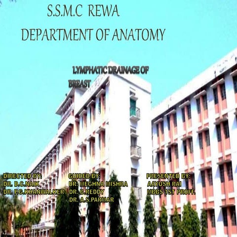 Lymphatic Drainage Of Breast