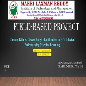 FBP_PPT_PERSENTATION. about the author int the era