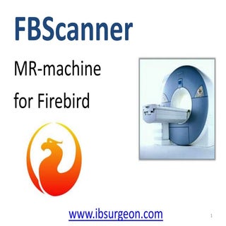 FBScanner: IBSurgeon's tool to solv...