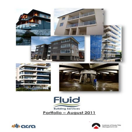 Fluid Portfolio Summer 2012