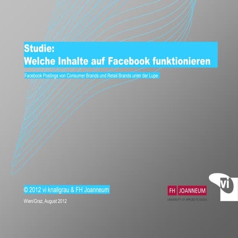 vi knallgrau Facebook Studie Consumer Brands und Retail Brands