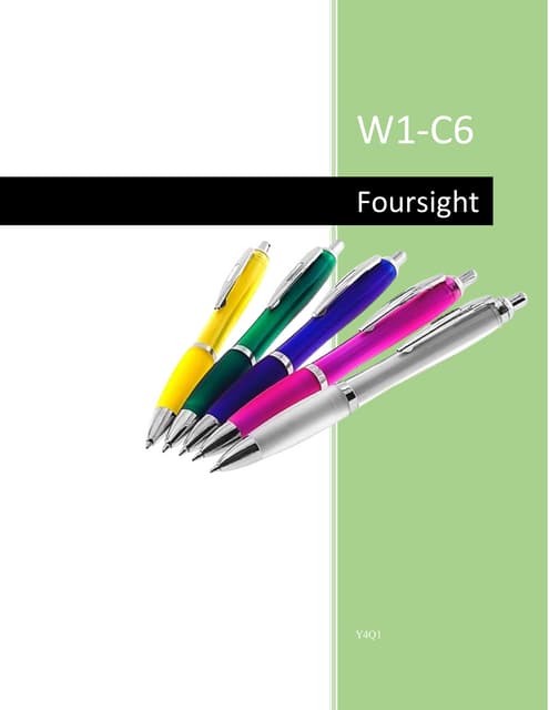 Foursight- Business Plan (1) (1)