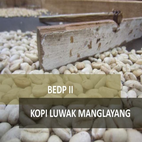 BEDP II