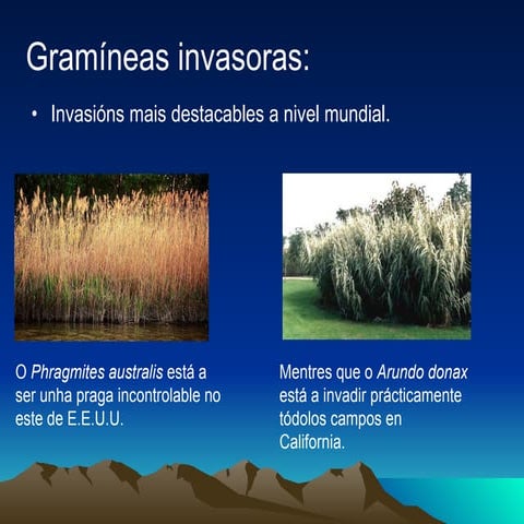 As plantas invasoras en galicia, un perigo silencioso | PPT