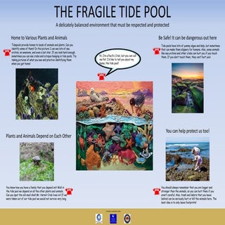 The Fragile Tide Pool