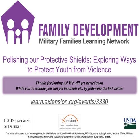 Polishing our Protective Shields: Exploring Ways to Protect Youth from Violence