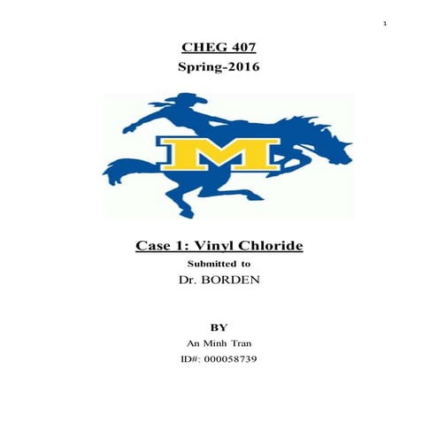 An Minh Tran - Cheg 407 - Case 1