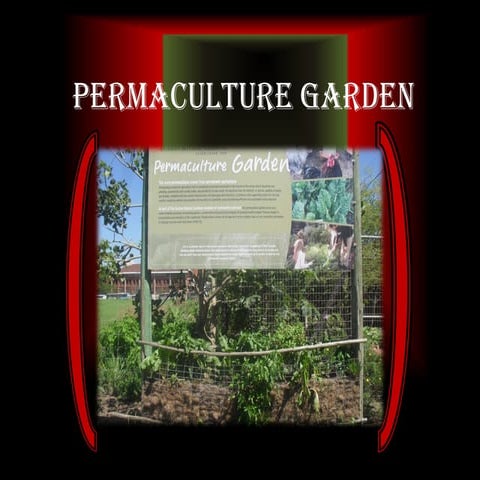 Permaculture Garden | PDF