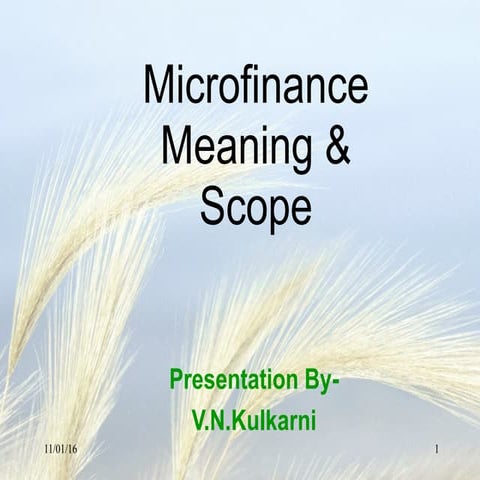 Micro Fin & SHG-sies