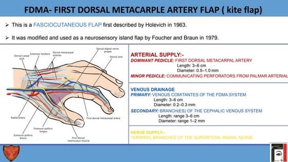 V-Y Advancement flap - for Fingertip amputations | PPTX | Death, Injury