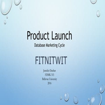 Database Marketing Product Launch 