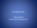 RAMJI PANDEY cornea class-2 1 fdocuments 210928134352 thumbnail 2