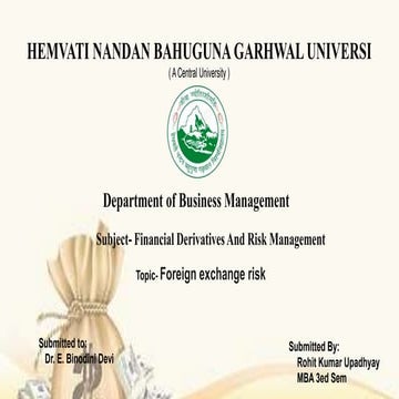 Foreign Exchange Risk