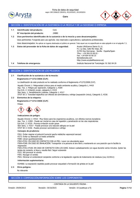 Hoja de Seguridad Core