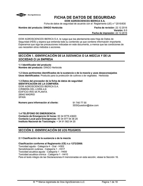 Hoja de Seguridad Dingo