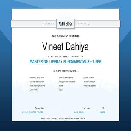 Vineet Dahiya - Liferay Inc - Training Certificate Q4AIEO0L3D5S2GB