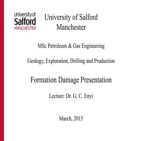 Formation Damage Presentation Group F