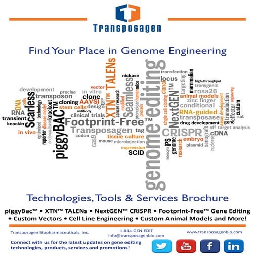 Genscript overview 030110[1] | PPT